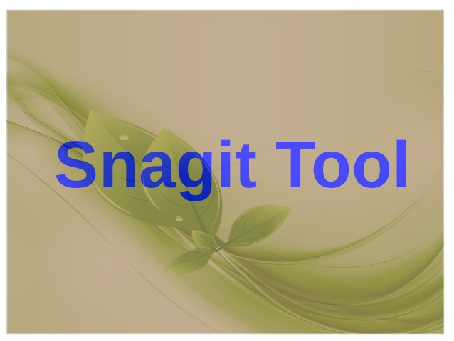 how to use snagit tool